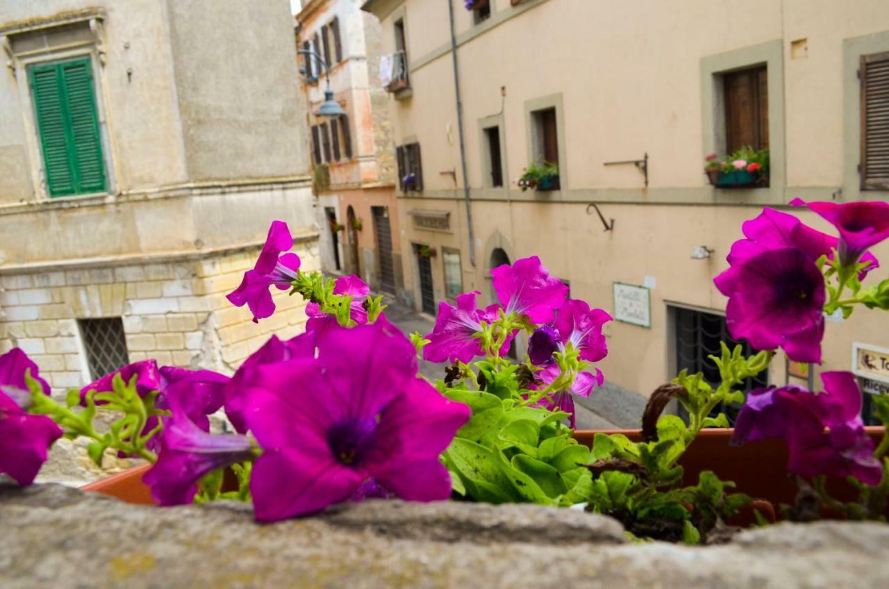 B&B Chiostro San Marco ตาร์กวิเนีย ภายนอก รูปภาพ